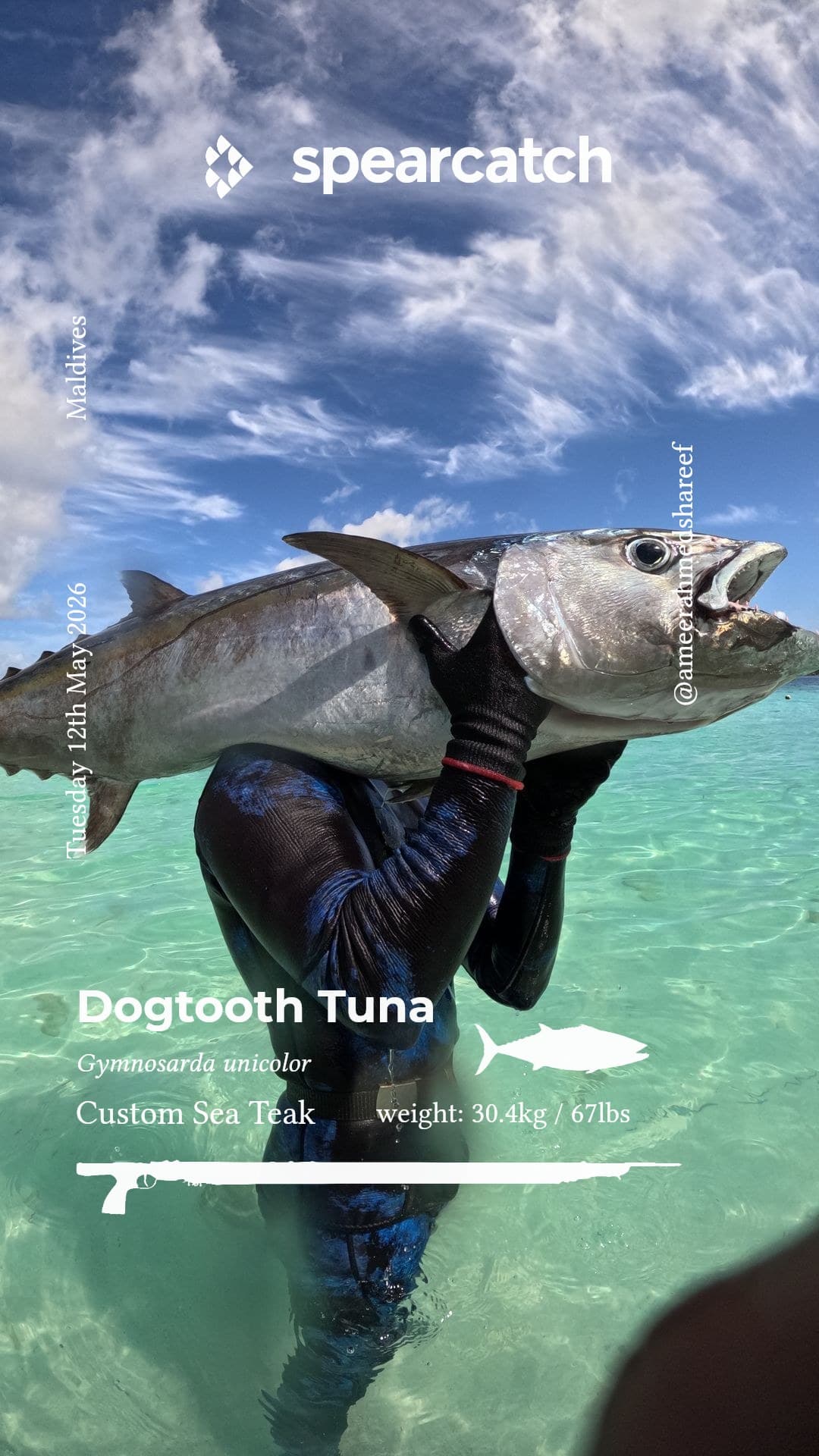 Branded Spearcatch share card: a spearo carrying a dogtooth tuna in the Maldives, with species, weight and speargun overlaid
